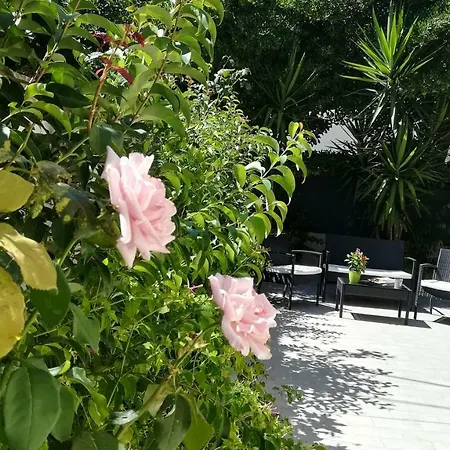 I Principi Del Conero נומאנה