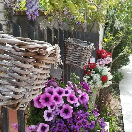 I Principi Del Conero Penzion 4*